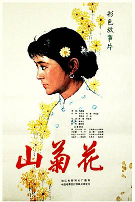 山菊花1982